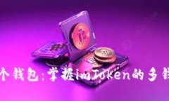 轻松登录多个钱包：掌握