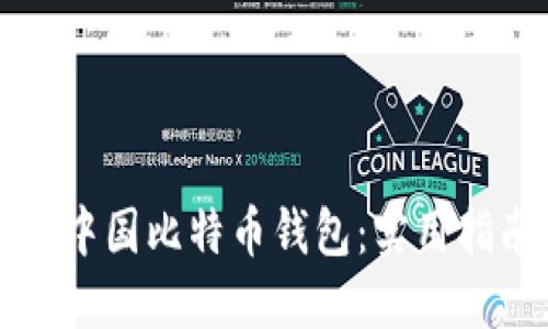 如何选择最适合的中国比特币钱包：实用指南与个人经验分享