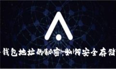 探索区块链冷钱包地址的