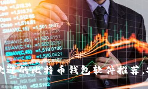 国内最受欢迎的比特币钱包软件推荐，安全又实用