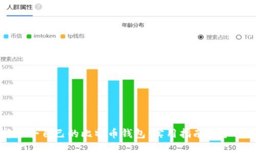 如何选择适合自己的比特币钱包：实用指南与个人经验分享