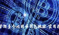 如何有效管理多个比特币