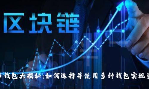 : 比特币钱包大揭秘：如何选择并使用多种钱包实现资产互通