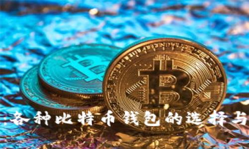 全面解析:各种比特币钱包的选择与实用价值