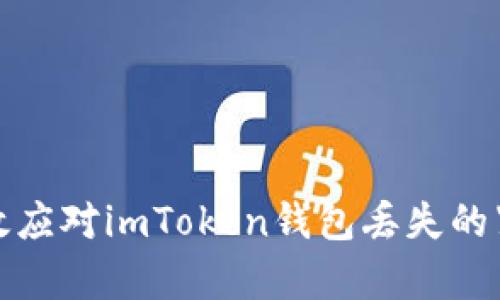 如何有效应对imToken钱包丢失的紧急情况