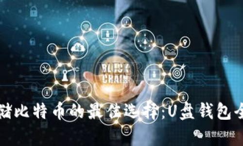 安全存储比特币的最佳选择:U盘钱包全面解析