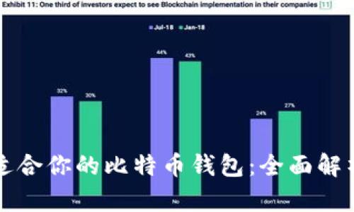 如何选择最适合你的比特币钱包:全面解析与实用指南