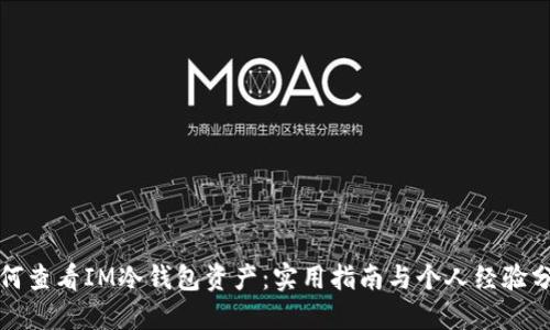 如何查看IM冷钱包资产:实用指南与个人经验分享