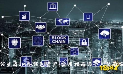 如何查看IM冷钱包资产:实用指南与个人经验分享