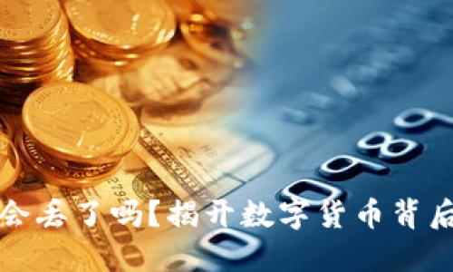 比特币钱包会丢了吗?揭开数字货币背后的安全迷思