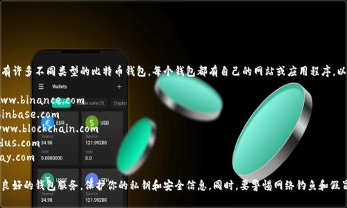 比特币钱包没有一个固定的网址，因为有许多不同类型的比特币钱包，每个钱包都有自己的网站或应用程序。以下是一些常见的比特币钱包及其网址：

1. **币安（Binance）** - https://www.binance.com
2. **Coinbase** - https://www.coinbase.com
3. **Blockchain.com** - https://www.blockchain.com
4. **Exodus** - https://www.exodus.com
5. **BitPay** - https://www.bitpay.com

在选择比特币钱包时，请确保选择信誉良好的钱包服务，保护你的私钥和安全信息。同时，要警惕网络钓鱼和假冒网站。