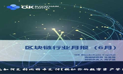 数字钱包如何支持比特币支付？揭秘你的数字资产管理新方式