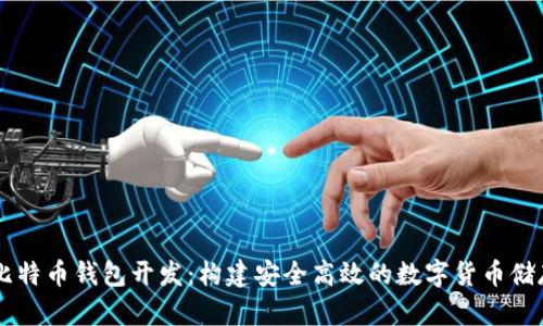 Java比特币钱包开发:构建安全高效的数字货币储存方案