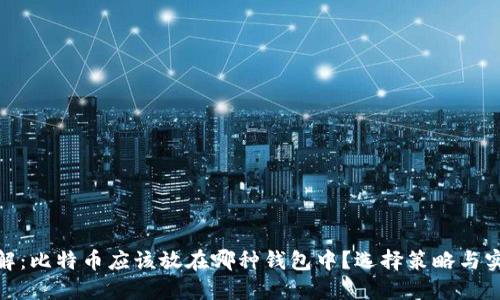 安全详解:比特币应该放在哪种钱包中?选择策略与实用价值