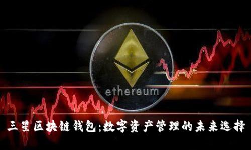 三星区块链钱包:数字资产管理的未来选择