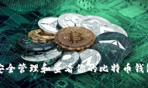 如何安全管理和查看你的比特币钱包余额
