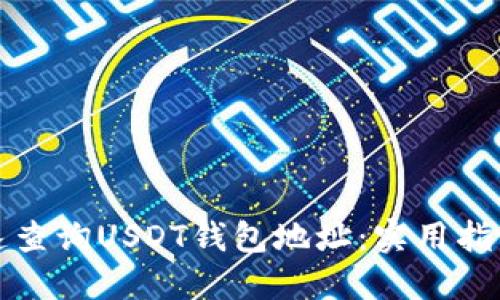 如何快速查询USDT钱包地址：实用指南与提示