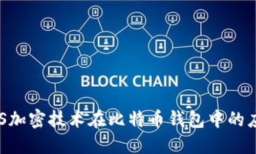 深入了解AES加密技术在比特币钱包中的应用与安全性