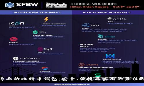 最专业的比特币钱包：安全、便捷与实用的最佳选择