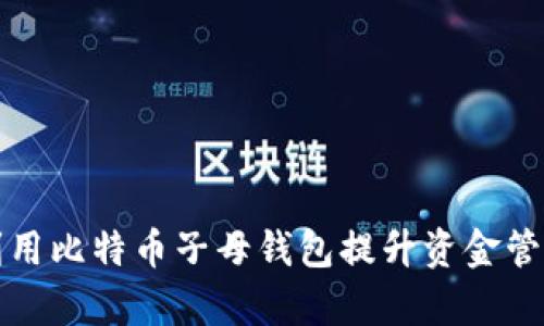 如何利用比特币子母钱包提升资金管理效率