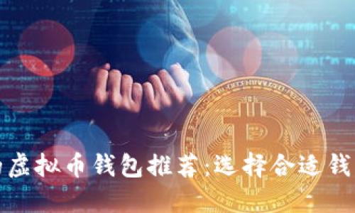 最实用的虚拟币钱包推荐：选择合适钱包的指南
