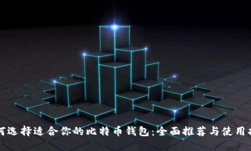 如何选择适合你的比特币钱包：全面推荐与使用指南