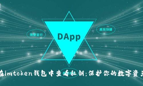 如何在imtoken钱包中查看私钥：保护你的数字资产安全