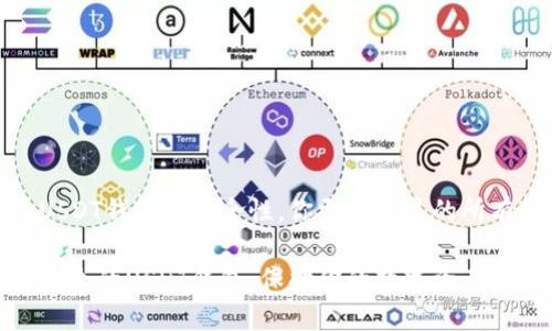 关于USDT钱包的安全性，你需要知道的所有信息

选择安全的USDT钱包：保护你的数字资产