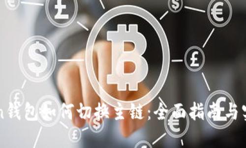 imtoken钱包如何切换主链：全面指南与实用技巧