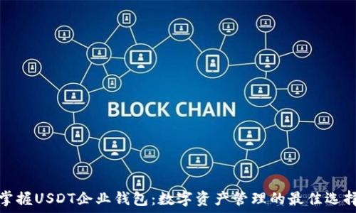 掌握USDT企业钱包:数字资产管理的最佳选择