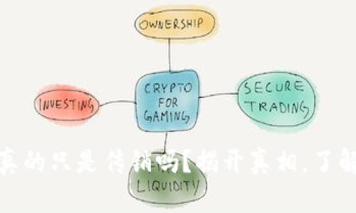 比特币钱包真的只是传销吗？揭开真相，了解风险与机遇