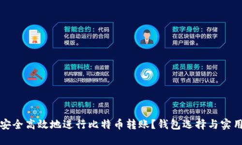 如何安全高效地进行比特币转账？钱包选择与实用技巧