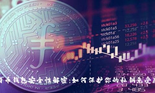 比特币钱包安全性解密：如何保护你的私钥免受威胁