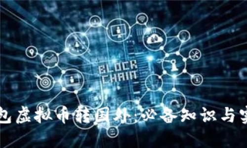 国内钱包虚拟币转国外:必备知识与实用指南