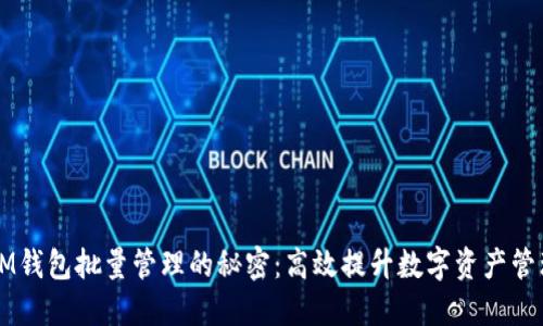 解锁IM钱包批量管理的秘密：高效提升数字资产管理能力