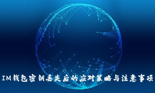 IM钱包密钥丢失后的应对策略与注意事项